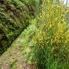 Plants: image 105 Of 208 Thumb